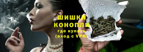 молекула духа Инсар