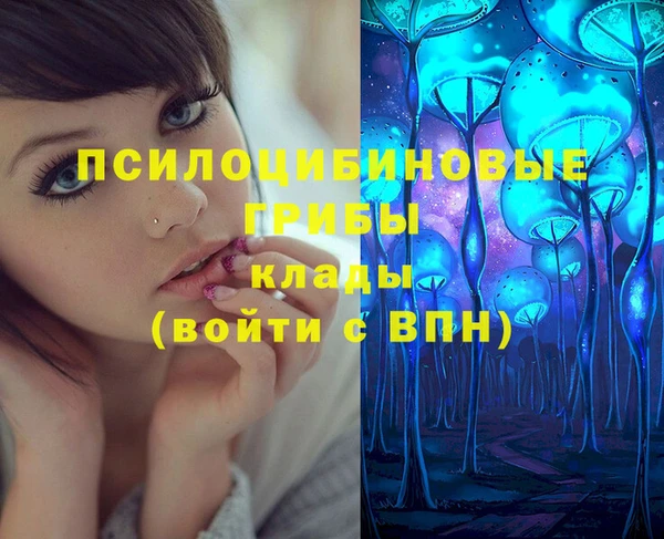 гашик Инта