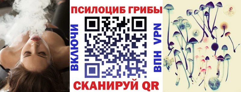 купить  сайты  Чудово  Псилоцибиновые грибы мицелий 